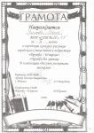 2009 год
